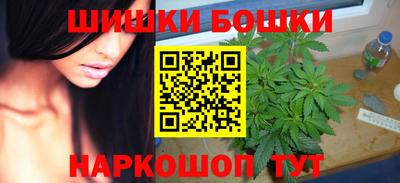 гашик Сланцы