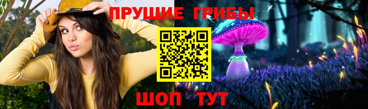 Псилоцибиновые грибы GOLDEN TEACHER Пенза